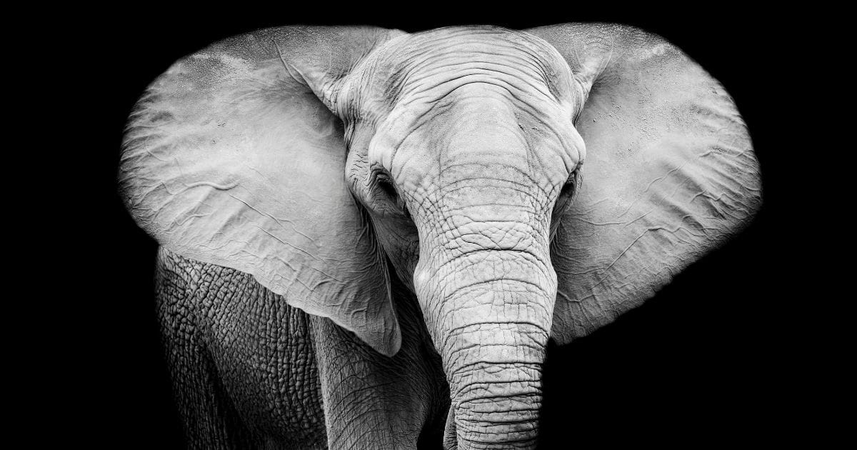 The R4 framework that makes marketing easier for service-based businesses